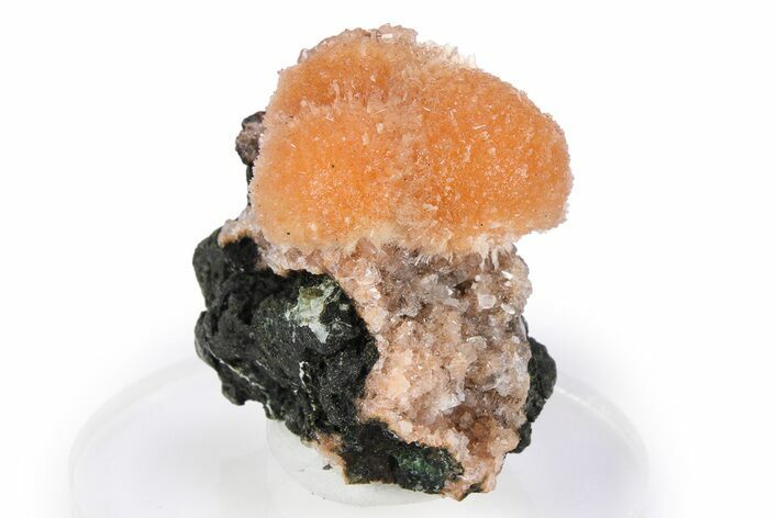 Vibrant Peach Thomsonite on Sparkling Heulandite - India #382277